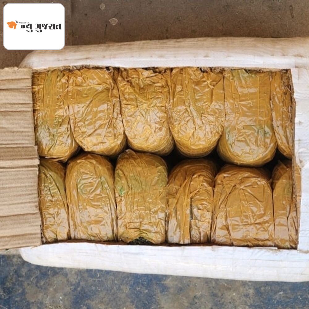 કુરિયરમાં ગાંજાની હેરાફેરીનો પર્દાફાશ:ગાંધીધામમાં ઓડિશાથી મંગાવેલો 12 કિલો ગાંજા સાથે બે આરોપી ઝડપાયા, 1.83 લાખનો મુદ્દામાલ જપ્ત