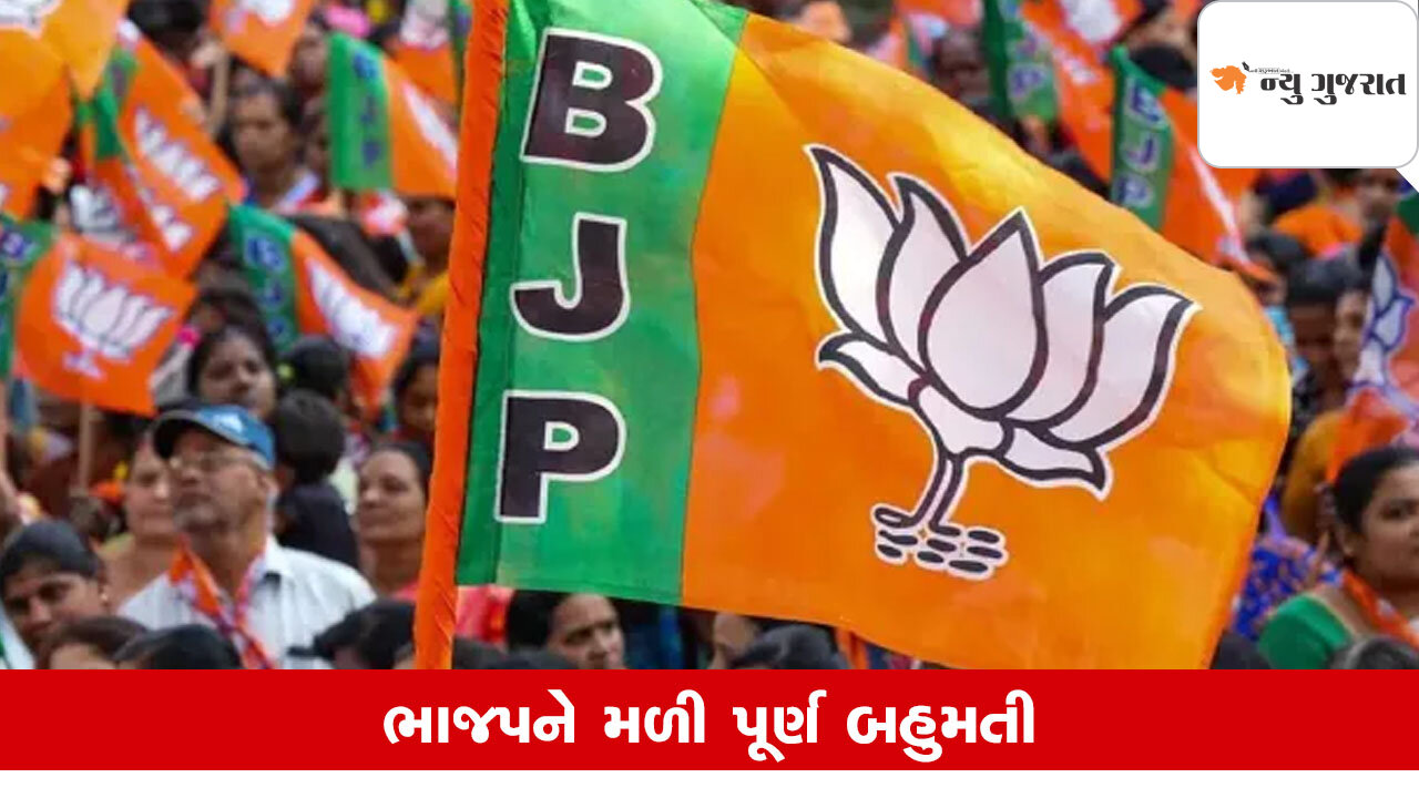 Palika Election 2025: માણસા નગરપાલિકામાં ભાજપનો ભગવો લહેરાયો