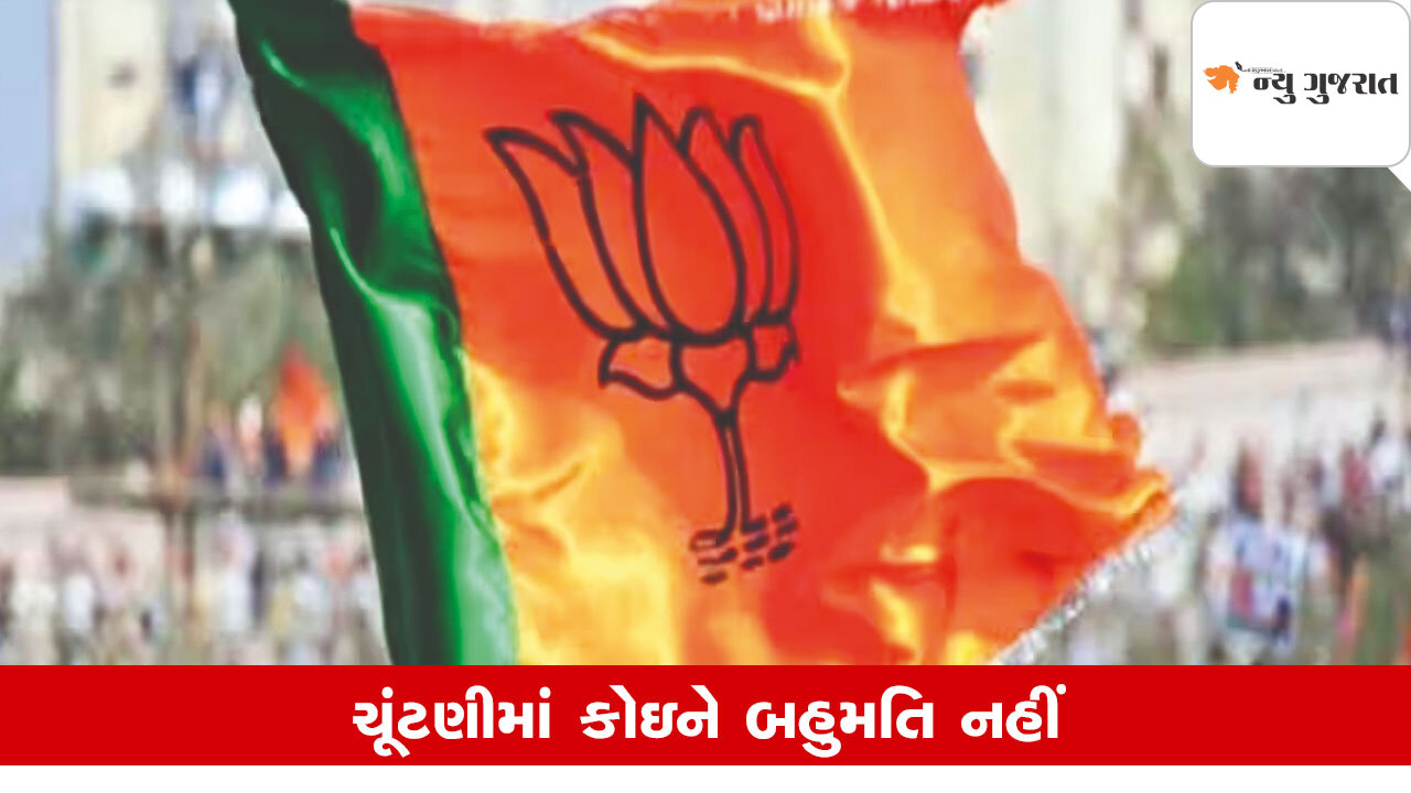 Dakor Palika Panchayat Result 2025: ડાકોરમાં ભાજપ-અપક્ષ વચ્ચે પડી ટાઈ, હવે શું?