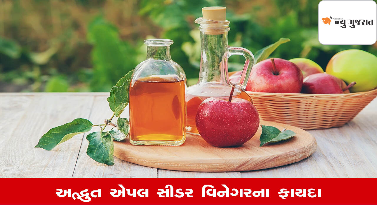 Lifestyle Health: શું Apple Cider Vinegarથી ખરેખર વજન ઘટે છે?