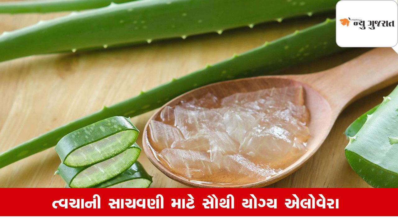 Lifestyle: એલોવેરા છે ત્વચા સંબંધી સમસ્યા દૂર કરવા માટે સૌથી શ્રેષ્ઠ
