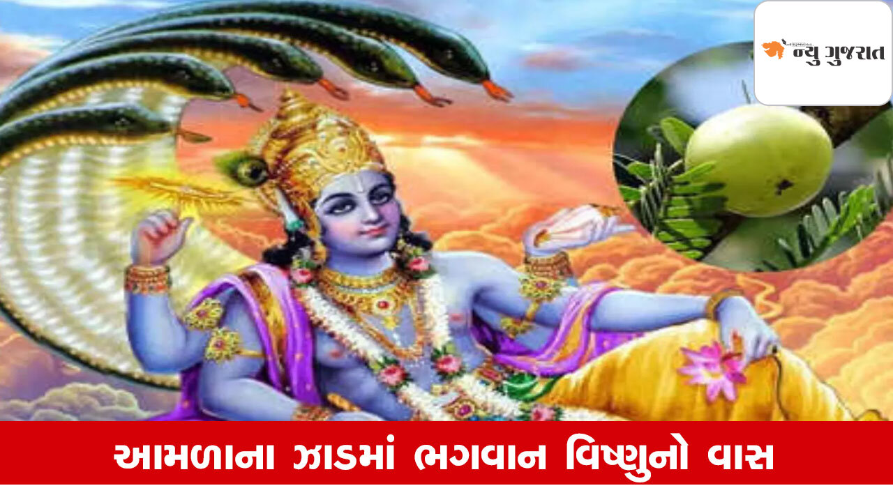 Amalaki Ekadashi 2025: શા માટે થાય આમળાના વૃક્ષની પૂજા, જાણીલો ધાર્મિક મહત્ત્વ