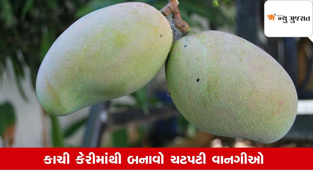 Mango: કાચી કેરીમાંથી કેટલુ બધુ બને ખબર છે? આંગળા ચાટતા રહી જશો