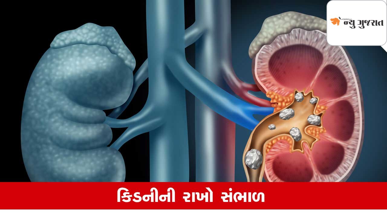 Kidney Disease: ખાવા-પીવામાં રાખો ધ્યાન, નહીં તો કિડની થઇ શકે ફેલ..