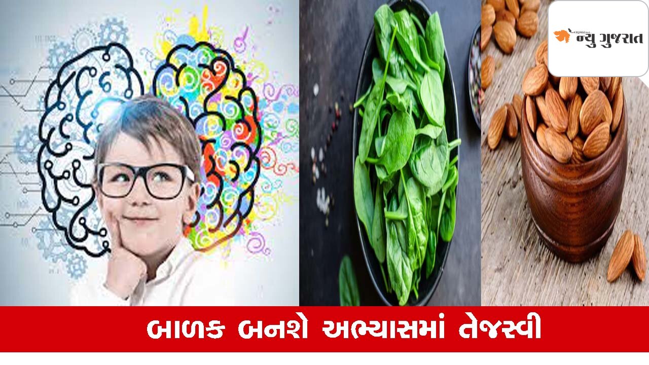 Health : બાળકોની યાદશક્તિ વધારવા આહારમાં સામેલ કરો વિટામિનથી ભરપૂર શ્રેષ્ઠ ખોરાક
