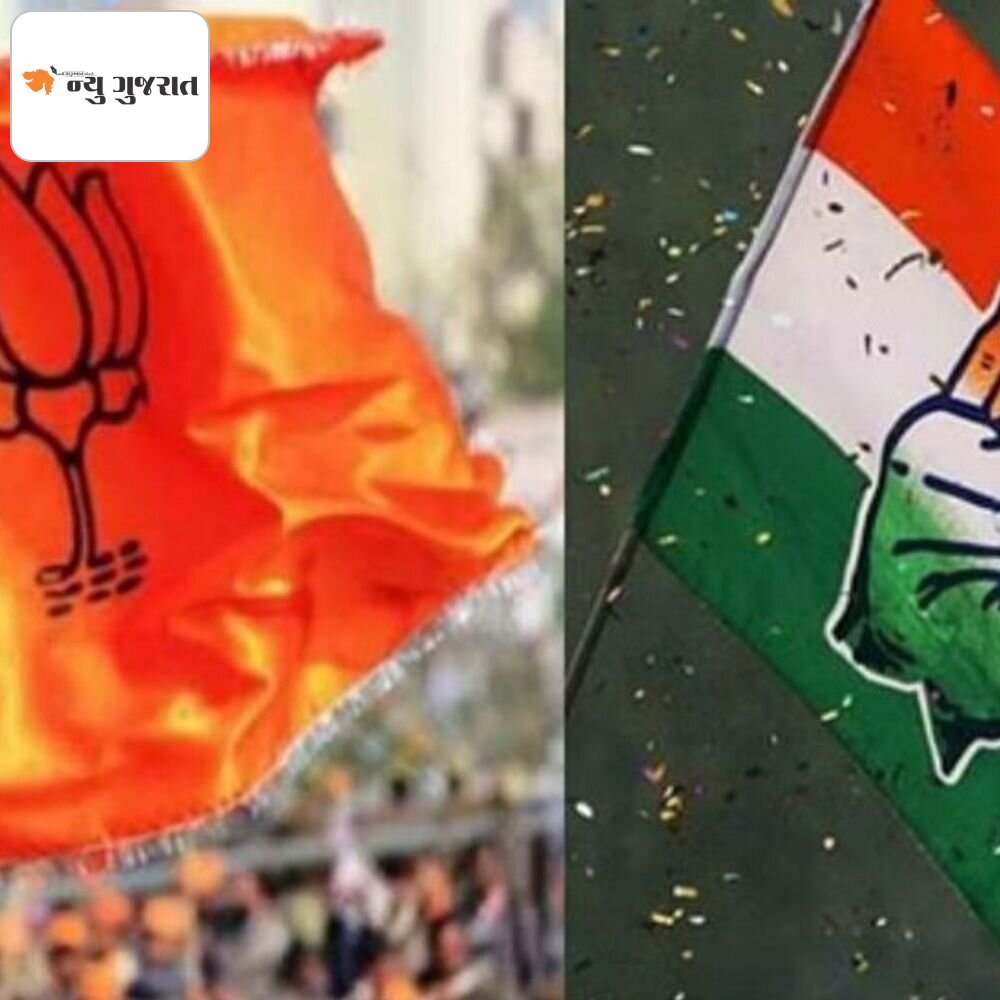 પાટીલના અનુગામી કોણ? કોંગ્રેસનું નવસર્જન કોણ કરશે?:ભાજપ અને કોંગ્રેસ સંગઠનની નિયુક્તિમાં સતત અલ્પવિરામ