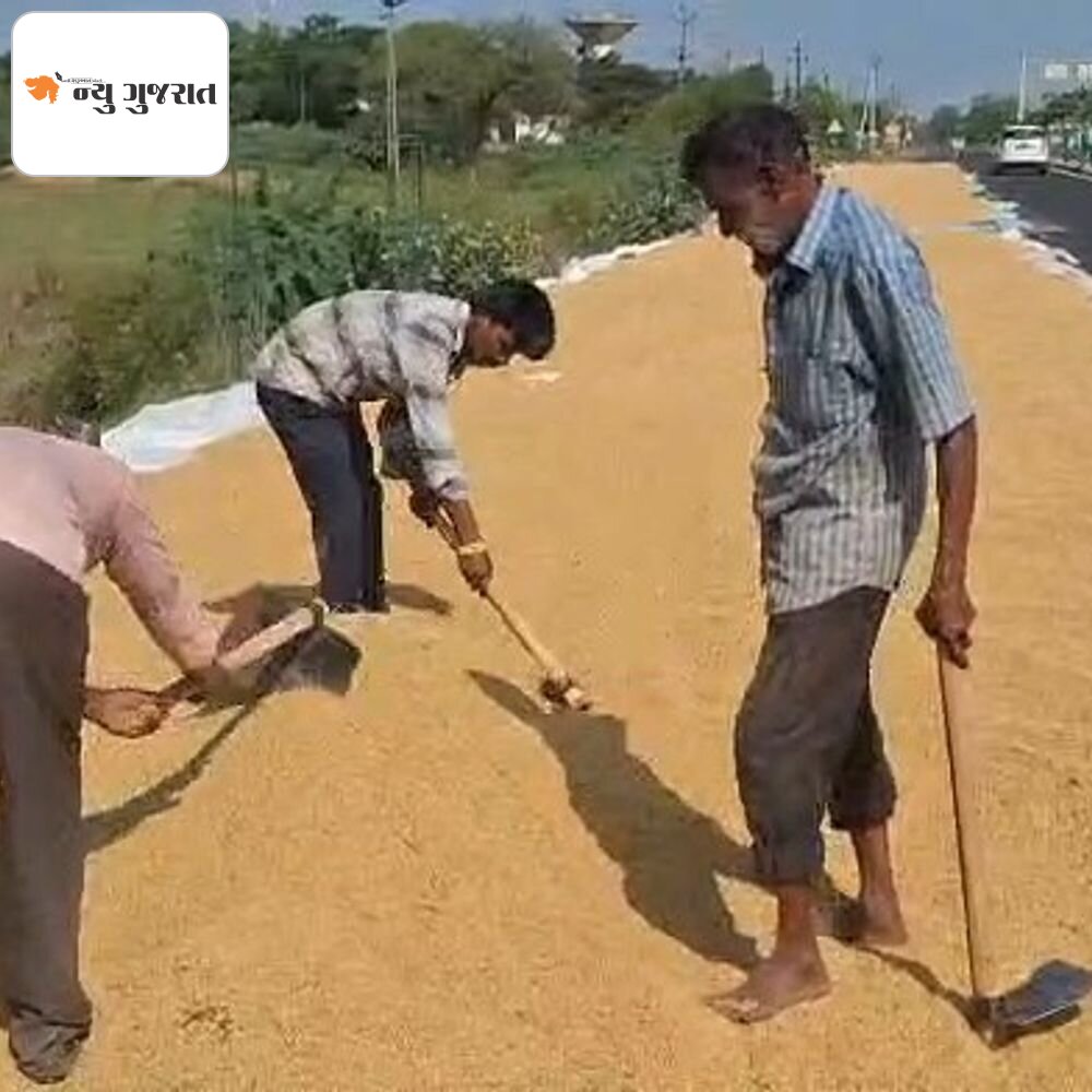 કમોસમી વરસાદથી ખેડૂતોની મુશ્કેલી વધી:સુરત જિલ્લાના વડોલી ગામમાં ડાંગરનો પાક પલળ્યો, ખેડૂતો હાઈવે પર સૂકવી રહ્યા છે