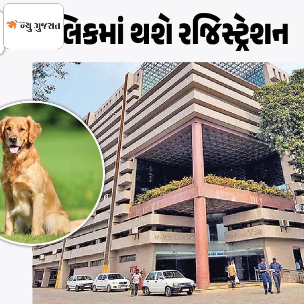 પેટ ડોગના નિયમ બનાવી સજાની જોગવાઈ લાવવા સરકારનો નિર્ણય:અમદાવાદમાં 50 હજાર પેટ ડોગની સામે 5500 લોકોએ જ રજિસ્ટ્રેશન કરાવ્યું, નોંધી લો રજિસ્ટ્રેશનની પ્રોસેસ