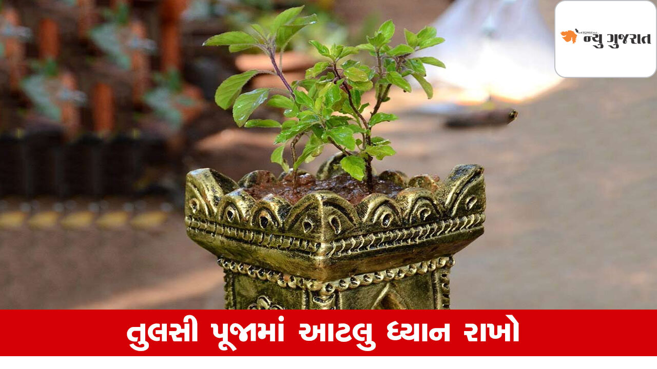 Tulsi Puja Niyam: રોજ કરો આ રીતે ઉપાસના, સોનાની જેમ કિસ્મત ચમકશે