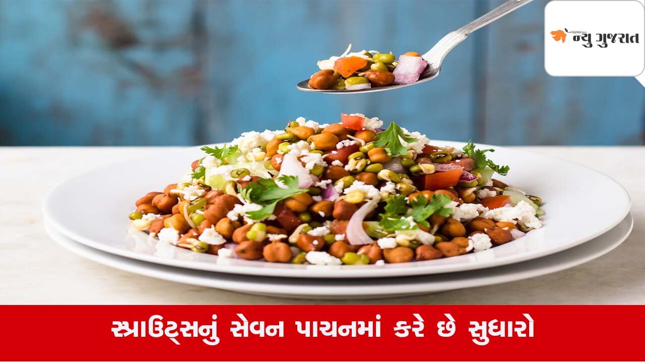 Tips: ઉનાળામાં કેરીના સેવનથી વધતા વજનને ઉતારવા નાસ્તામાં સામેલ કરો સ્પ્રાઉટસનું સલાડ