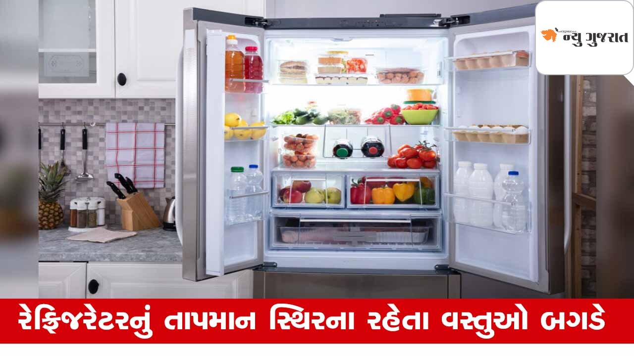 Tips: વારંવાર વીજળી ગુલ થતા રેફ્રિજરેટરની આ વસ્તુઓ બની શકે Food Poison
