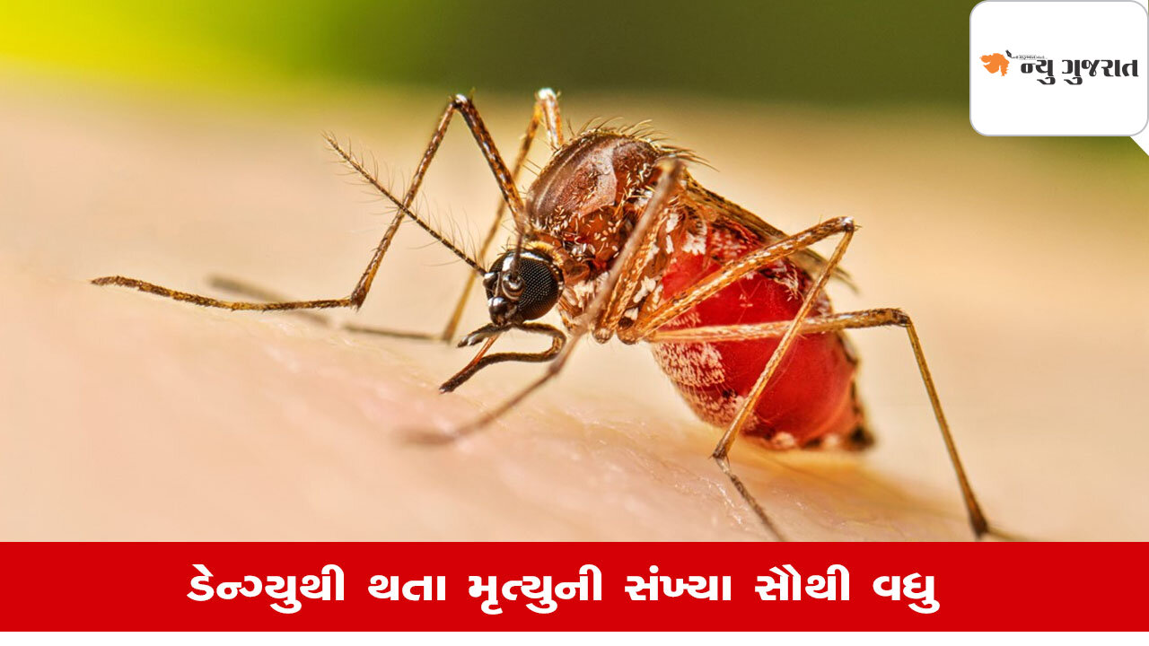 Lifestyle: કયા દેશમાં ડેન્ગ્યુથી થાય છે સૌથી વધુ મૃત્યુ, ભારત કયા ક્રમે?