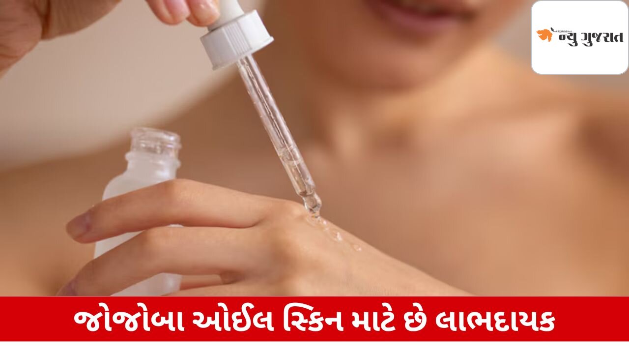 Lifestyle: જોજોબા ઓઈલના છે આ ત્રણ મોટા ફાયદા, જાણો