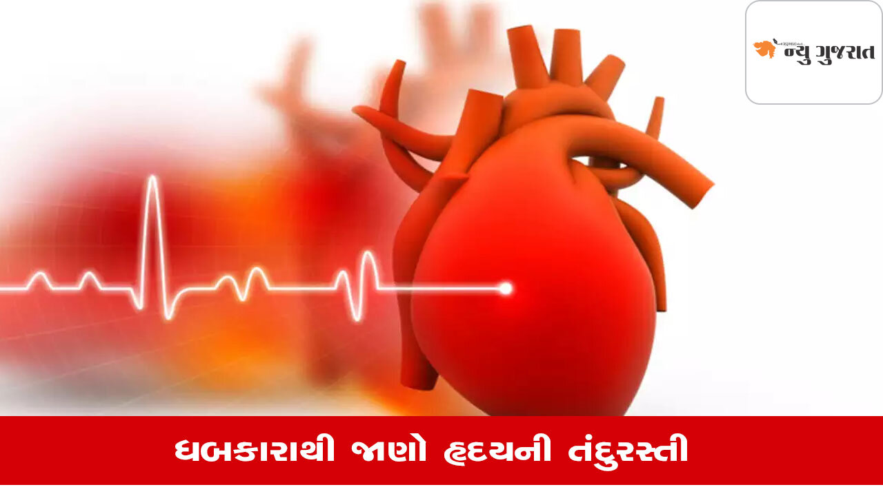 Lifestyle: વધેલા હૃદયના ધબકારા હાર્ટ અટેકનો સંકેત, જાણો કેવી રીતે રહશો સતર્ક?