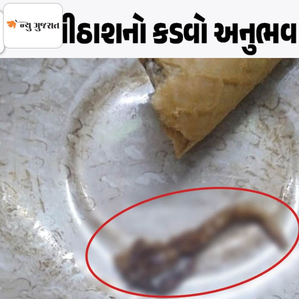 અમદાવાદમાં હેવમોરના કોનમાંથી ગરોળીની પૂંછડી નીકળી!:બેચનો તમામ માલ પરત લેવા AMC ફૂડ વિભાગનો આદેશ, હેવમોરને 50 હજારનો દંડ ફટકારી પાર્લર સીલ કરાયું