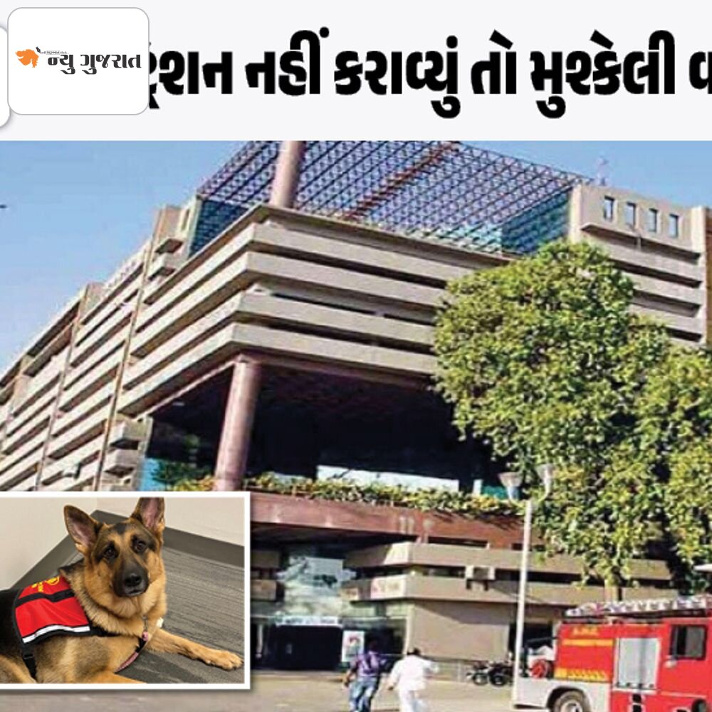 AMCએ લાલઆંખ કરતા પેટ ડોગના માલિકો દોડ્યા:અમદાવાદમાં એક જ દિવસમાં 330 પેટ ડોગનું રજીસ્ટ્રેશન થયું, 31 મે બાદ નોટિસ અને દંડનીય કાર્યવાહી થશે