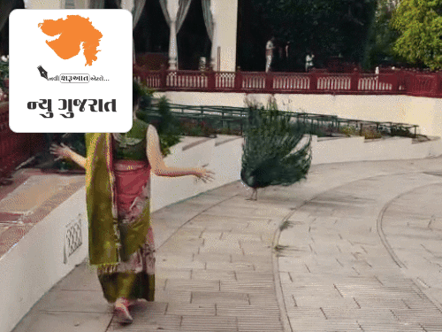 'હિપૉક્રિસી કી ભી સીમા હોતી હૈ':પાકિસ્તાની ગીત પર રીલ બનાવી કંગના ફસાઈ, સોશિયલ મીડિયા પર યૂઝર્સે કરી ટ્રોલ