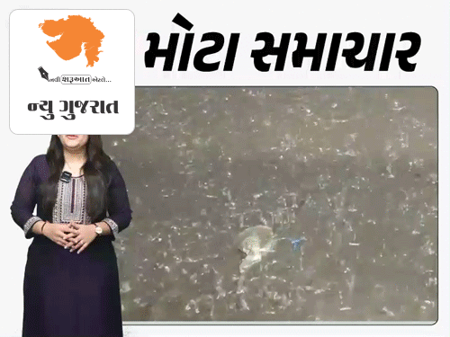 114 તાલુકામાં વરસાદ, 8નાં મોત:અમદાવાદમાં રાત્રે કડાકાભડકા સાથે ધમાકેદાર બેટિંગ, આજે 10 જિલ્લામાં આગાહી, 10 મેથી ગીરના સિંહોની વસતિગણતરી થશે