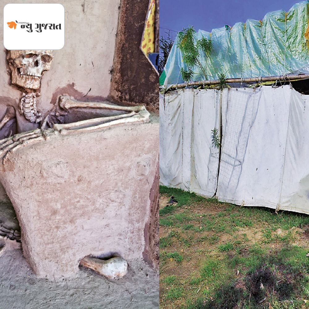 મ્યુઝિયમમાં મૂકવાની માગણી:વડનગર સરકારી વસાહતમાં ધૂળ ખાતાં 1200 વર્ષ જૂનાં માનવ કંકાલને વરસાદી પાણીના કારણે નુકસાનની ભીતિ