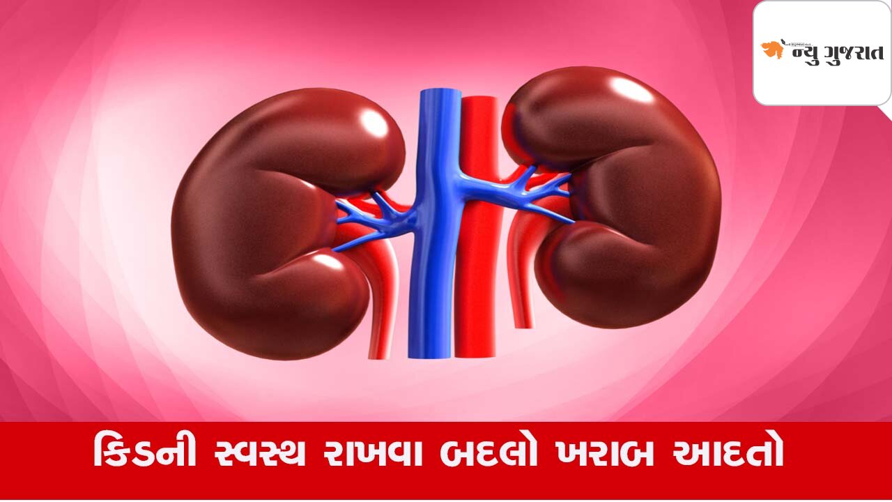 Health : જો આ 6 વસ્તુઓ તમે કરી, તો તમારી કિડની ગઈ…!