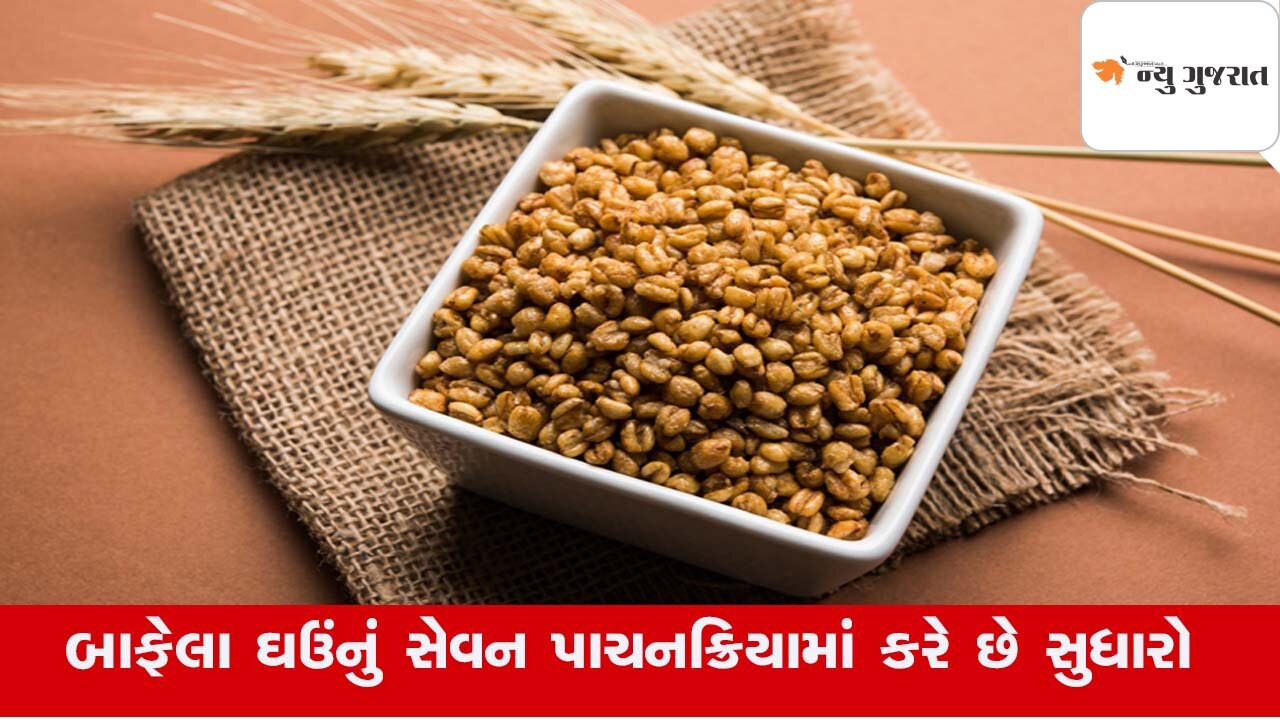 Tips: રોજિંદા જીવનમાં બાફેલા ઘઉંનો ઉપયોગ સ્વાસ્થ્ય સમસ્યા દૂર કરશે, જાણો ફાયદા..