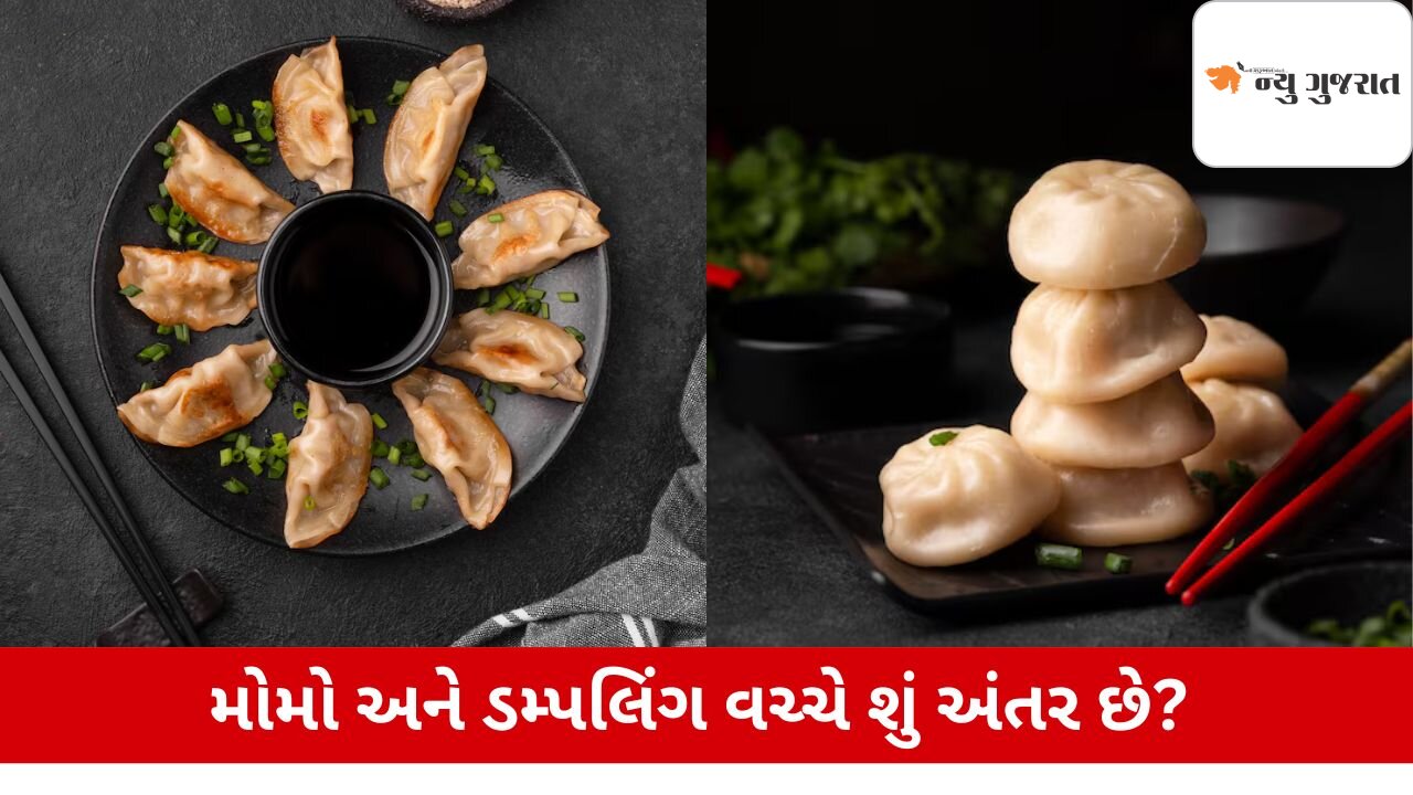 Momo અને ડમ્પલિંગ એકબીજાથી કેટલા અલગ છે?  જાણો બંને વચ્ચેનો તફાવત