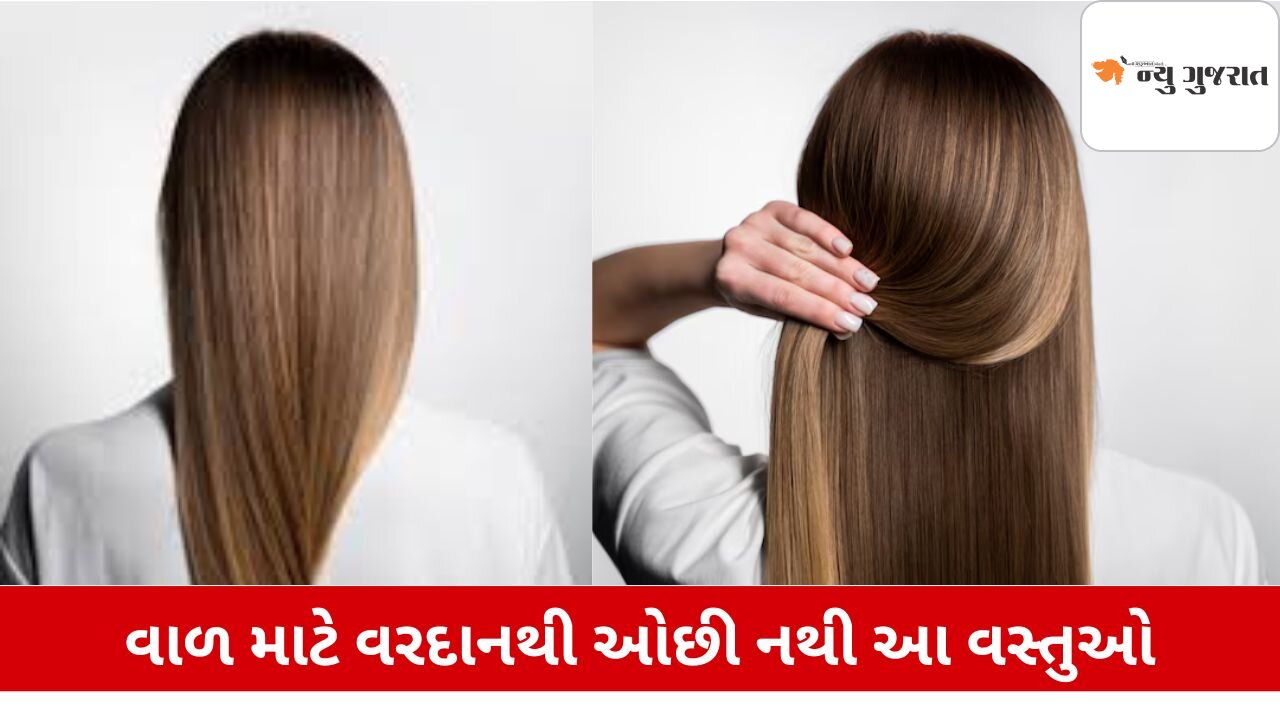 Lifestyle: વાળ માટે ફાયદાકારક છે  આ વસ્તુઓ, જાણો