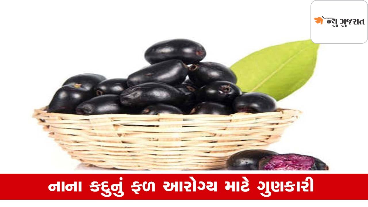 Health Tips : જાણો જાંબુ ખાવાથી શરીરને લાભ થશે કે નુકસાન
