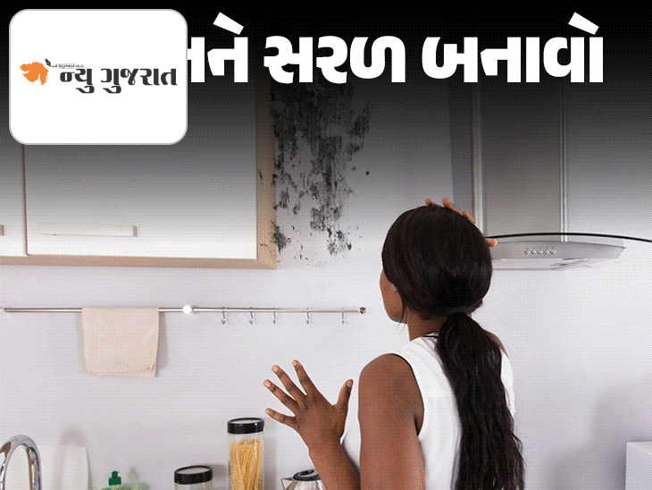 ચોમાસામાં કરિયાણું બગડી જાય છે?:જાણો અનાજ, દાળ અને મસાલાને ભેજ, ફૂગ અને ધનેડાથી બચાવવાની કમાલની રીતો