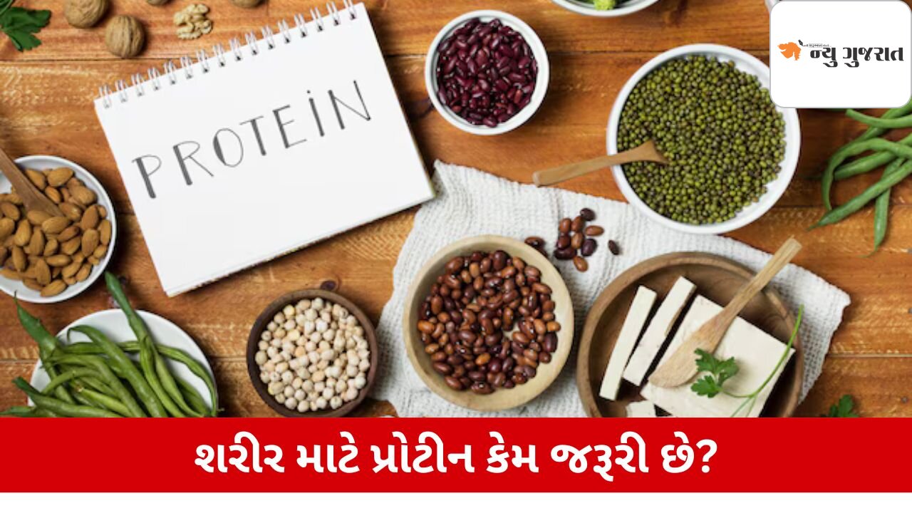 Health: વધારે માત્રામાં પ્રોટીન લેવાથી સ્વાસ્થ્ય પર શું અસર થાય છે?
