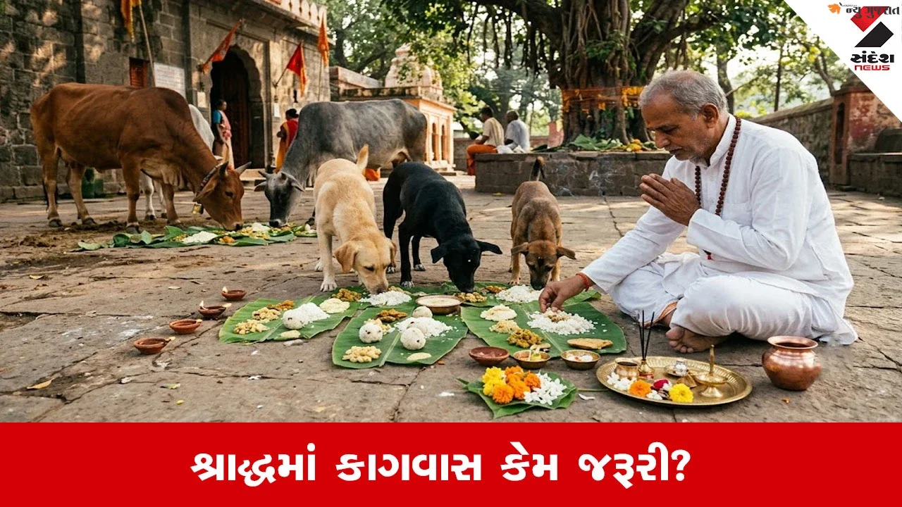 Pitru Paksha 2026: શ્રાદ્ધનું ભોજન લેવા કાગડો ન આવે તો કોને ખવડાવવું? જાણો પંચબલીની પરંપરા