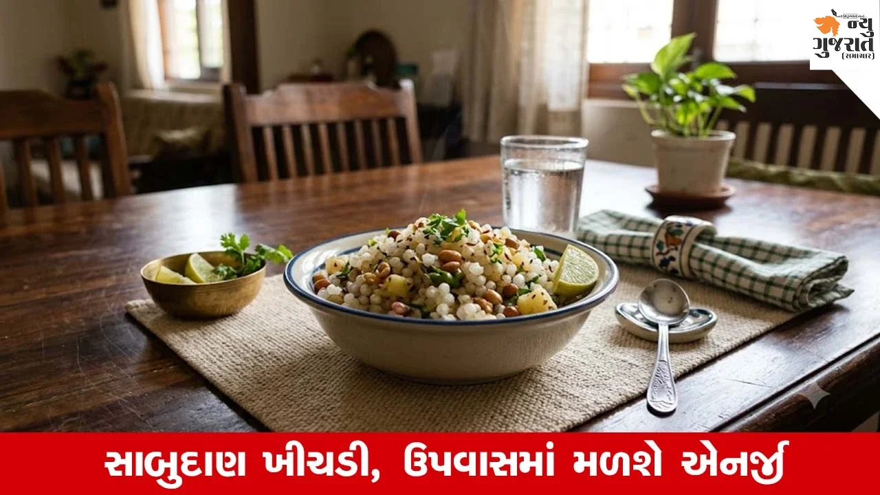 Navratri 2026 : ઉપવાસમાં બનાવો એકદમ છૂટી, દાણાદાર અને સોફ્ટ સાબુદાણા ખીચડી