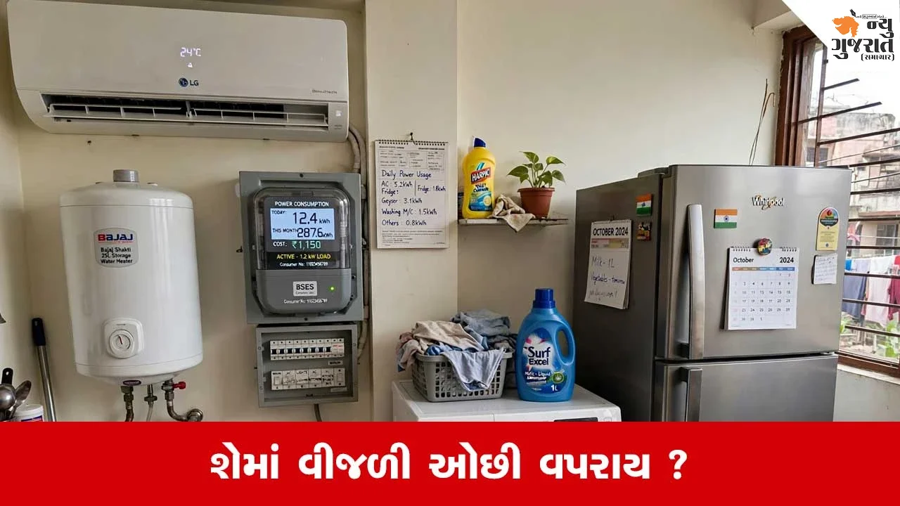 Energy Saving Tips: AC ગીઝર કરતાં પણ વધુ વીજળી ખાય છે આ એપ્લાયન્સ? જાણો વીજ બિલ વધારનારા 5 ડિવાઇસ