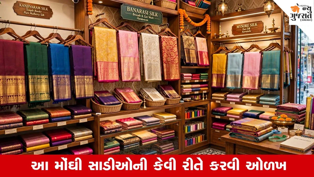 Silk Saree Identification Tips : તહેવાર અને લગ્નસરાની સિઝનમાં કાંજીવરમ, મૈસુર સિલ્ક અને બનારસી સાડીની ભારે માંગ, ખરીદીમાં રાખો ધ્યાન