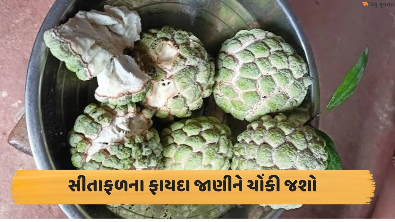 ગુણોનો ભંડાર છે સીતાફળ, પાચન સહિતની સમસ્યામાં મળશે ગજબ ફાયદા