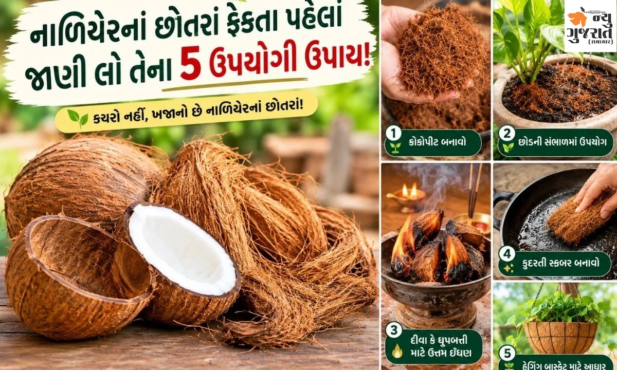 Coconut Shell : નાળિયેરનાં છોતરાં છે બહુ કામનાં! છોડથી લઈને રસોડા સુધી થશે ઉપયોગ