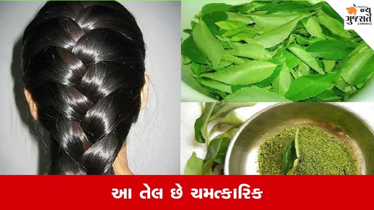 Curry Leave Hair Oil: ખોડો અને હેરફોલથી કંટાળી ગયા છો? ઘરે જ બનાવો હર્બલ હેર ઓઇલ